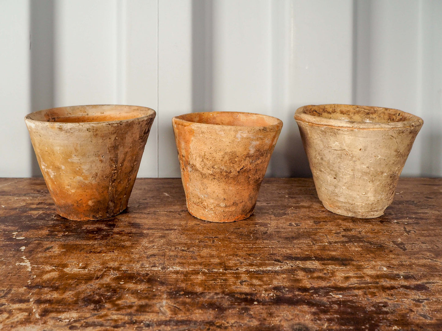 Vintage Antique French Pine Resin Collection Pot / Terracotta Plant Pot (Sold Individually)
