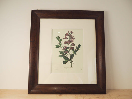 Vintage Floral Book Plate Mounted in Antique Wooden Frame / Flower Artwork