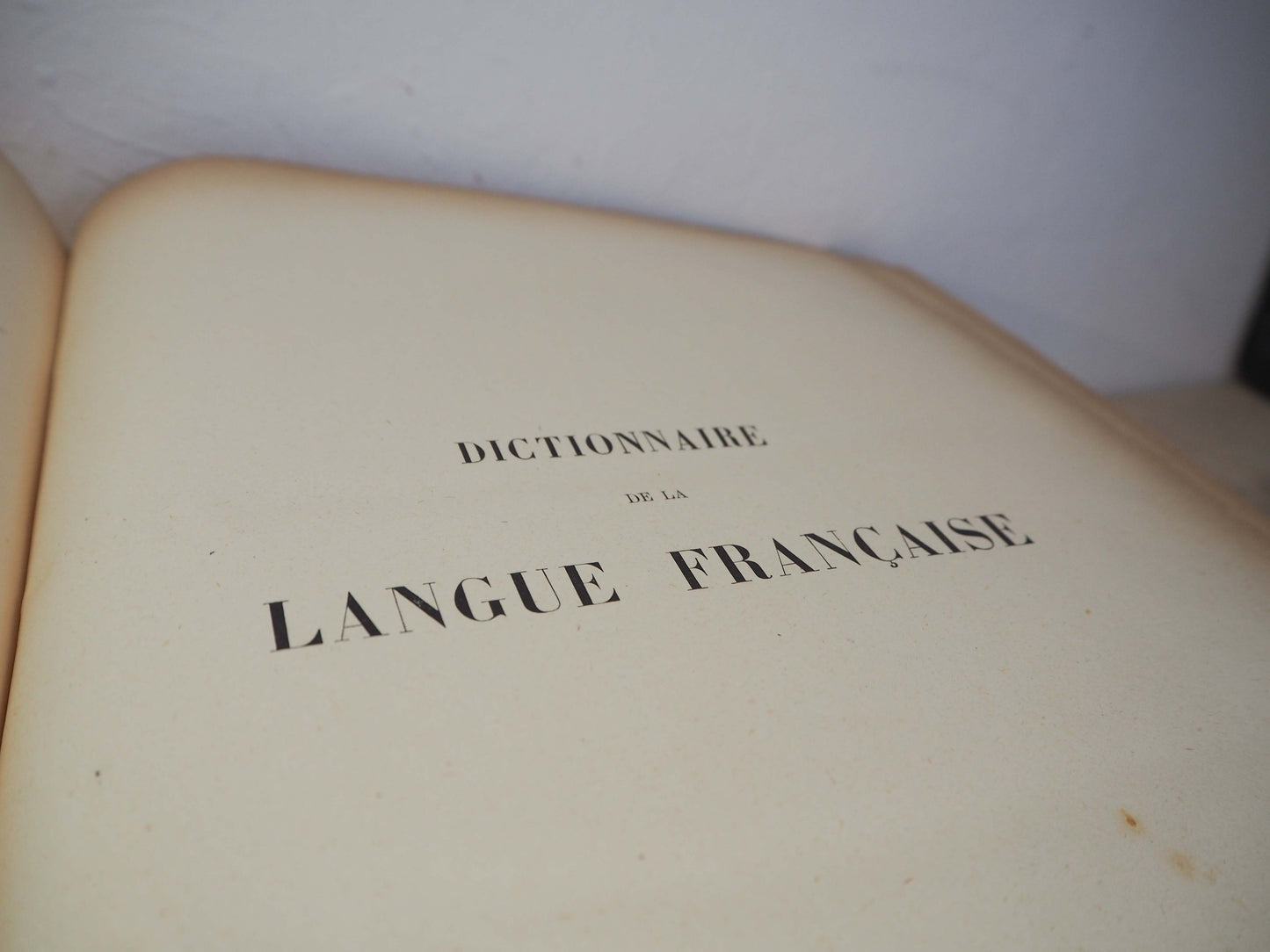 Vintage French Leather Bound Dictionary's / Collective Books (Sold Individually)