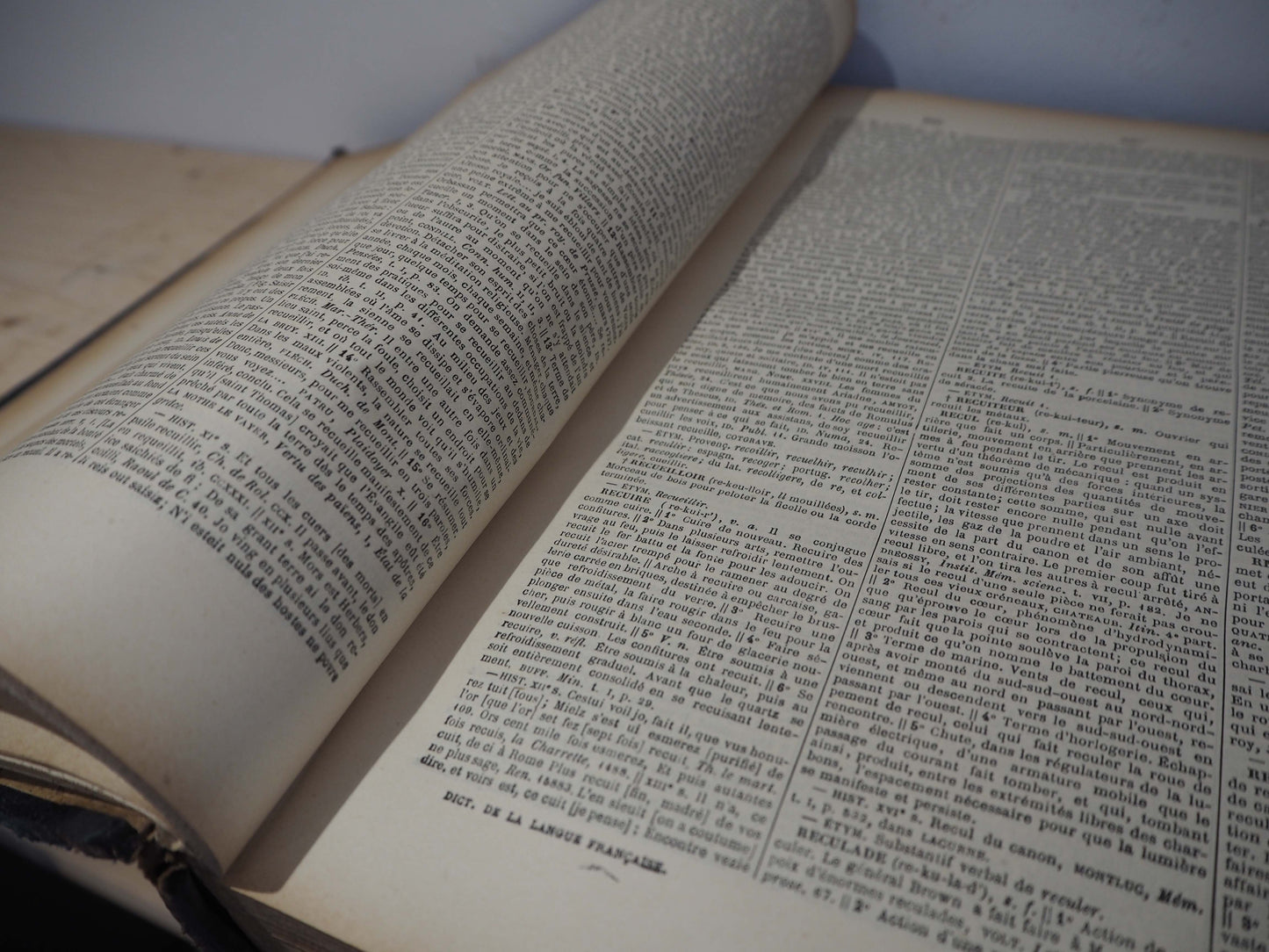 Vintage French Leather Bound Dictionary's / Collective Books (Sold Individually)