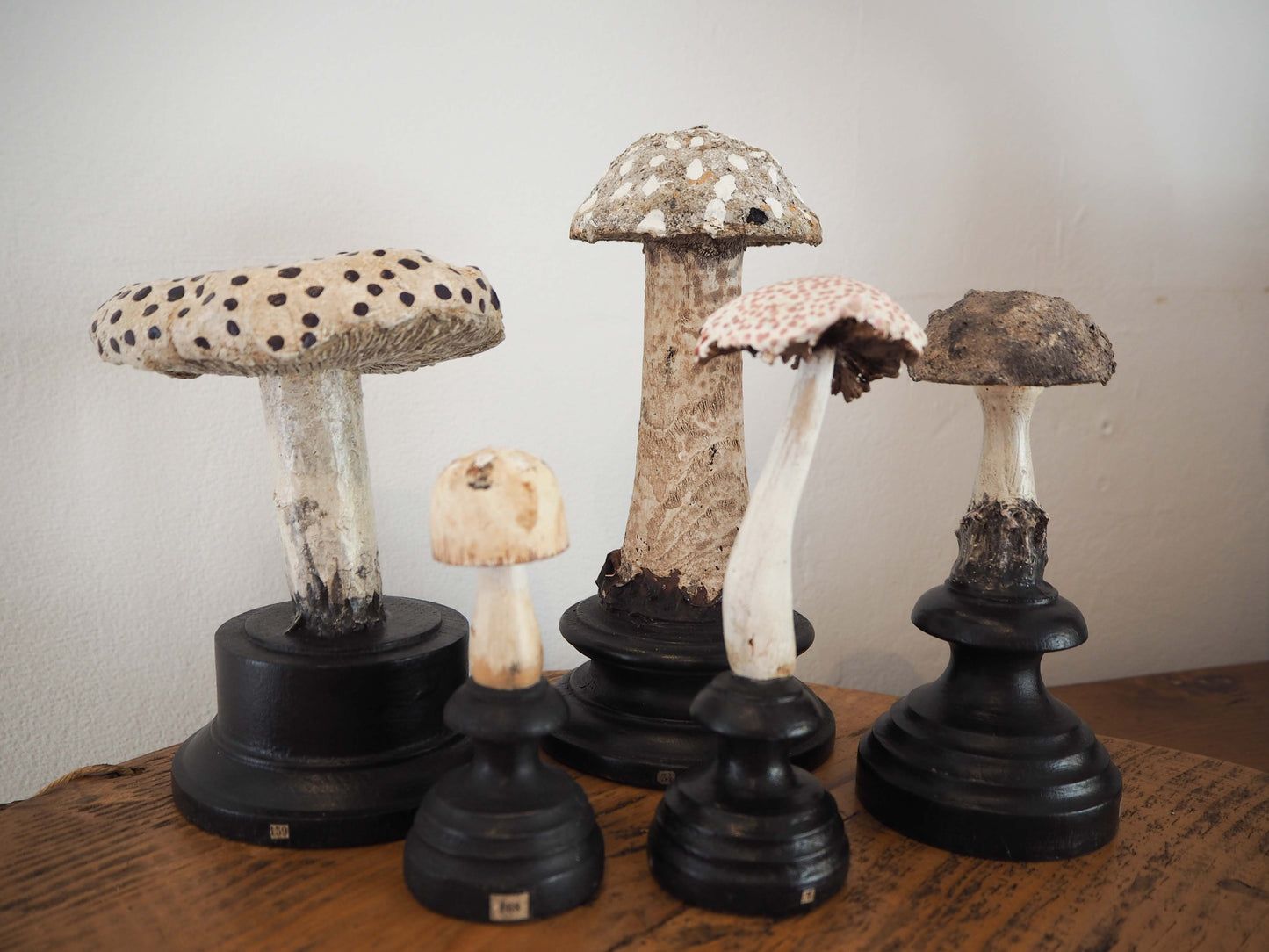 Antique Apothecary Mushroom Fungus Hand-Painted Specimens on Stands