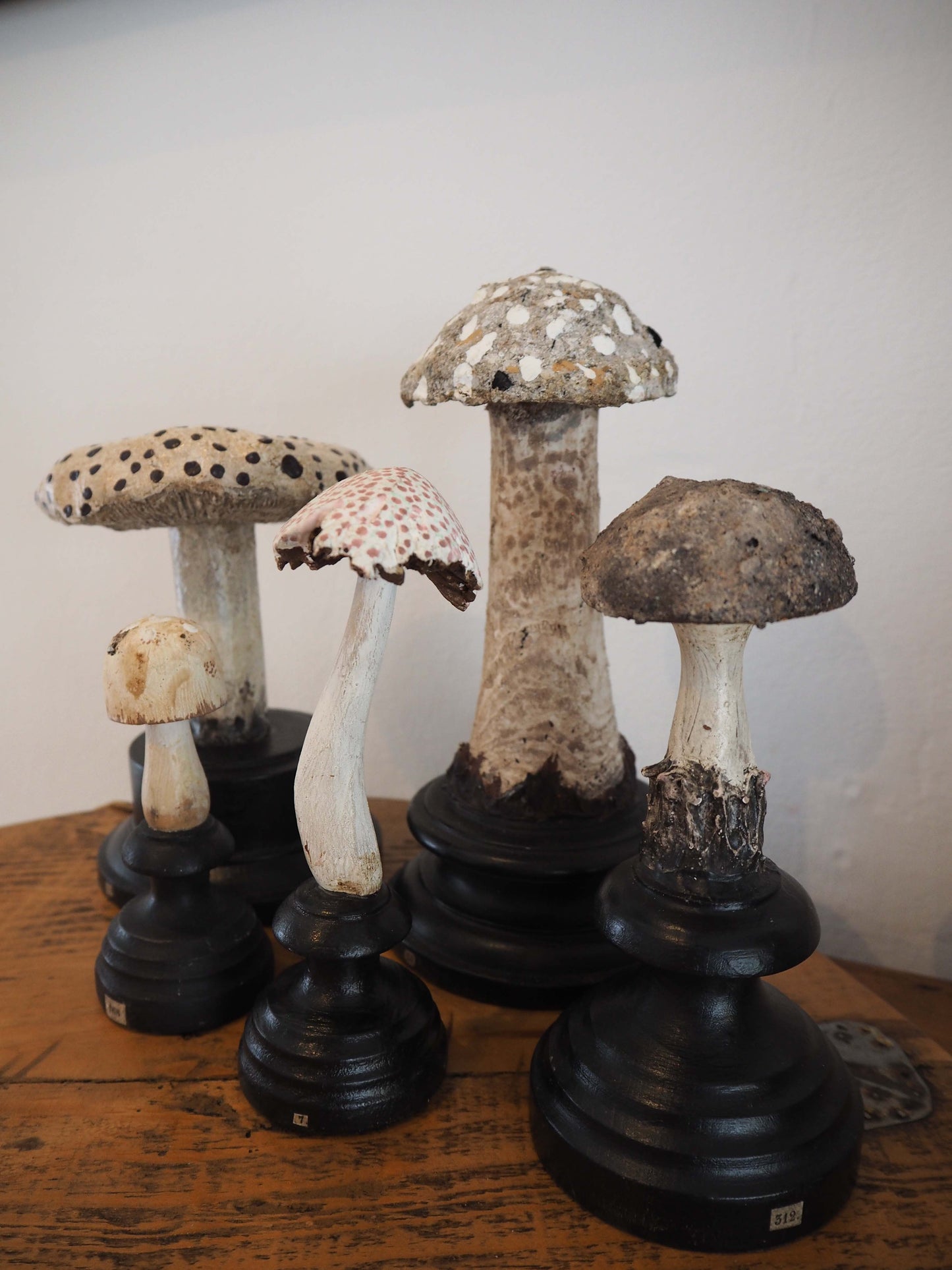 Antique Apothecary Mushroom Fungus Hand-Painted Specimens on Stands