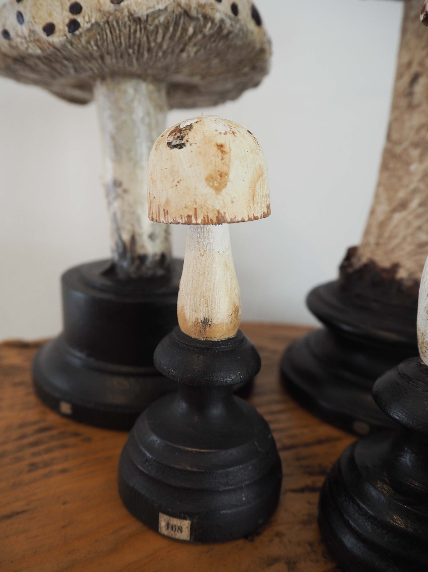 Antique Apothecary Mushroom Fungus Hand-Painted Specimens on Stands