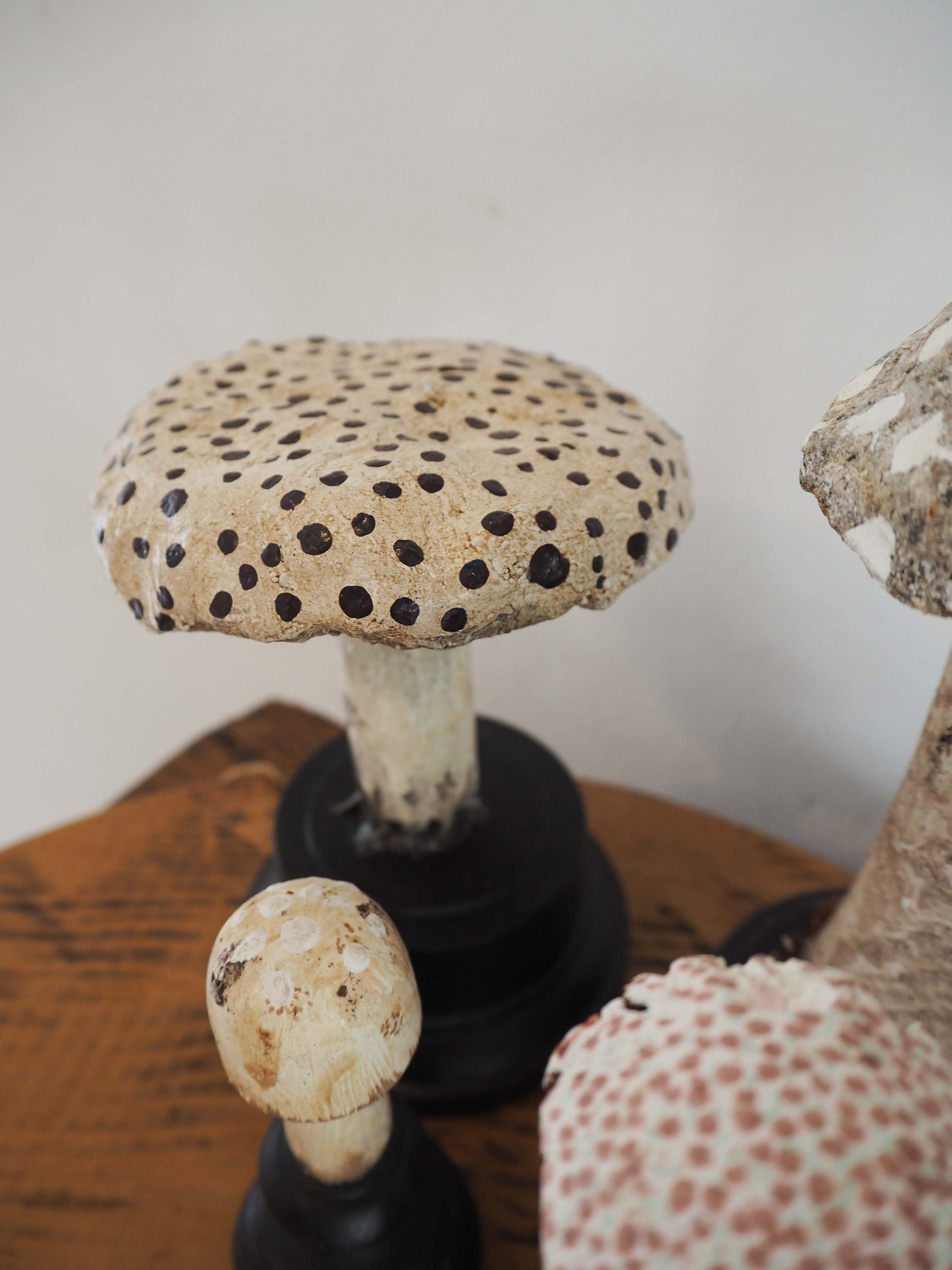Antique Apothecary Mushroom Fungus Hand-Painted Specimens on Stands
