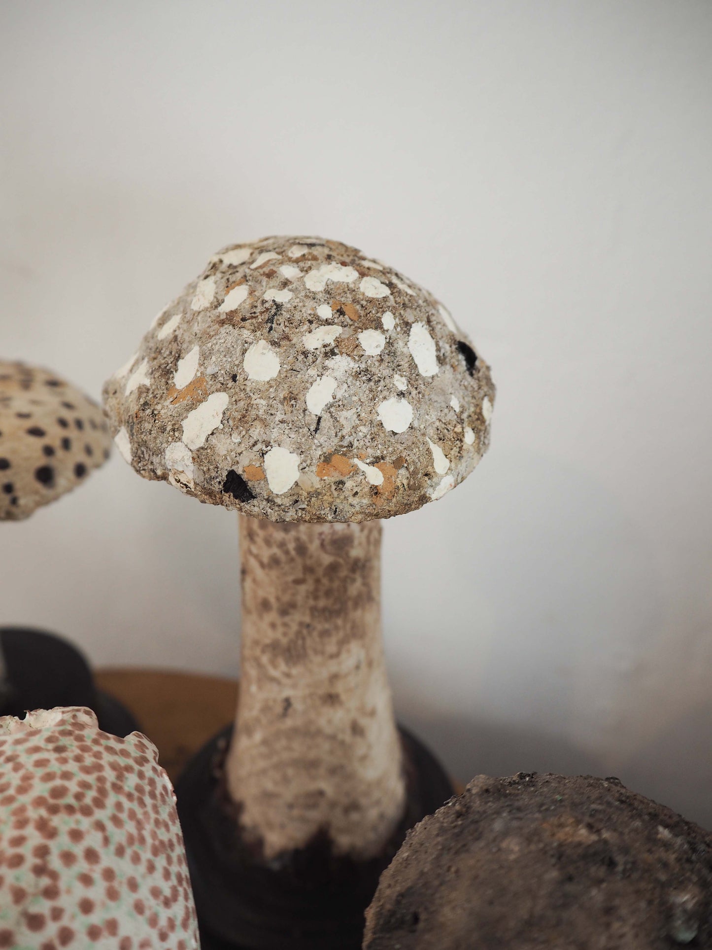 Antique Apothecary Mushroom Fungus Hand-Painted Specimens on Stands