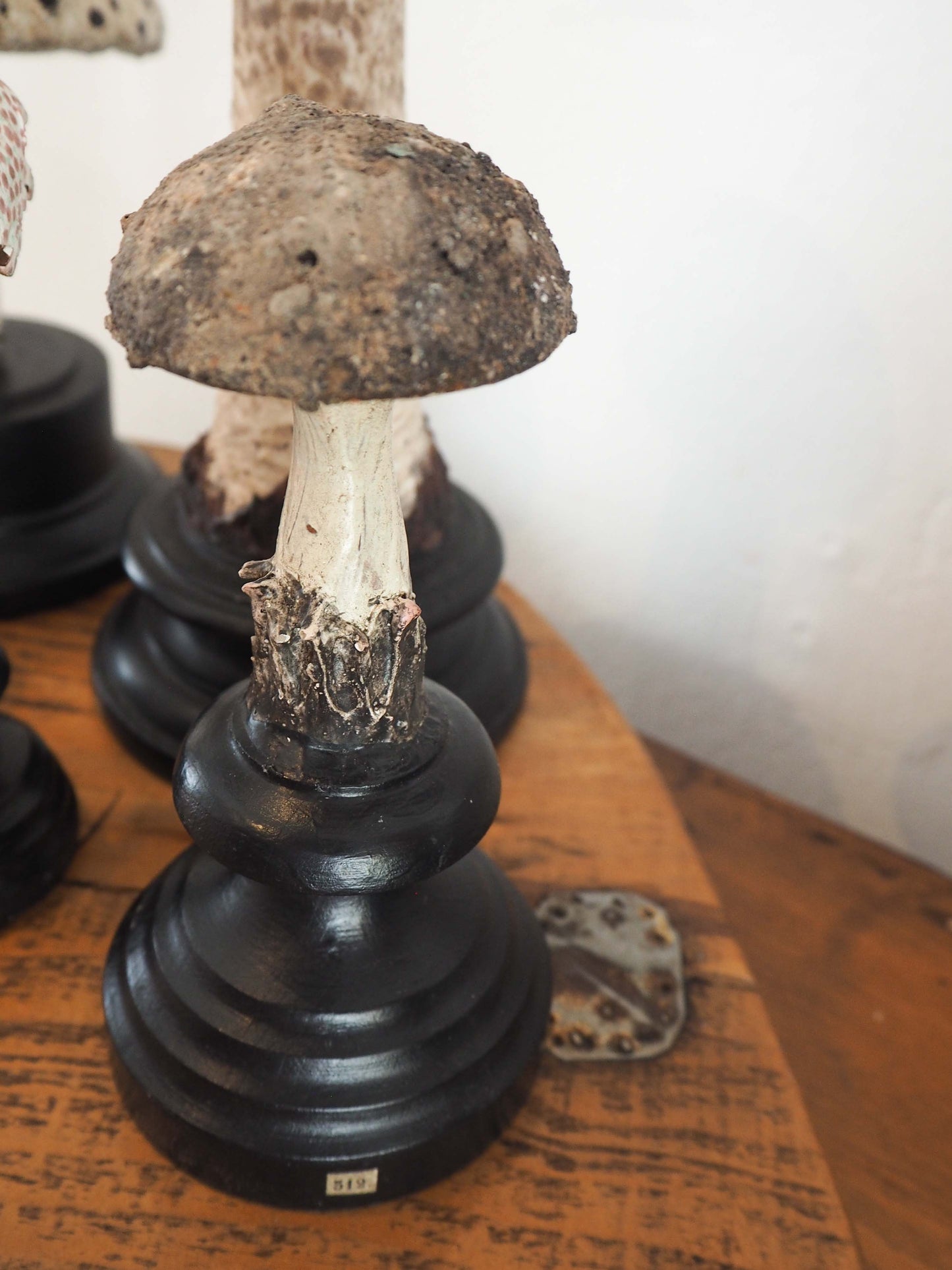 Antique Apothecary Mushroom Fungus Hand-Painted Specimens on Stands