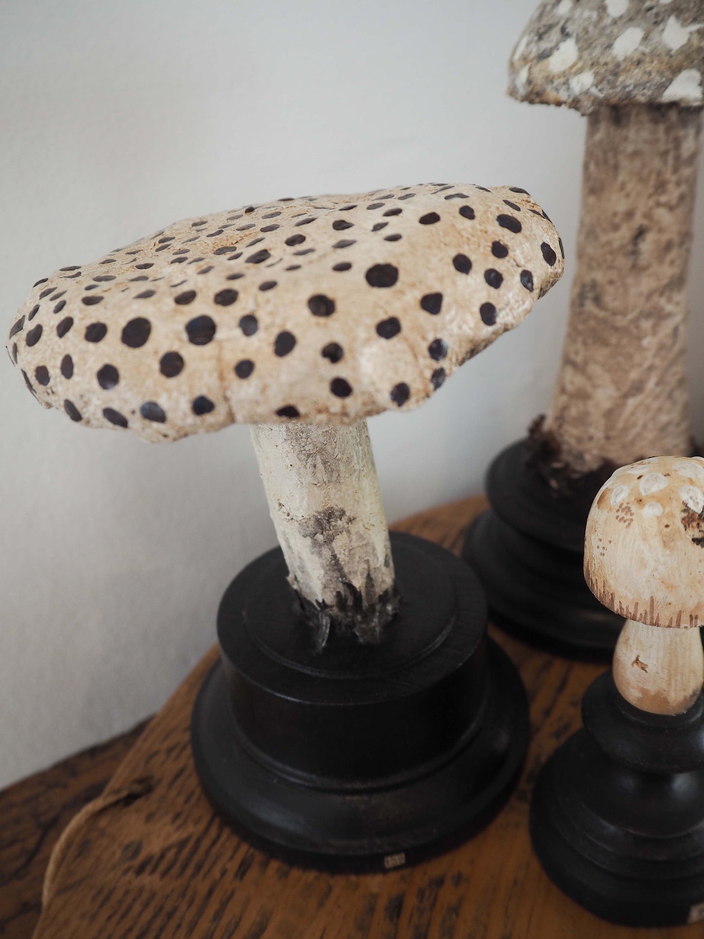 Antique Apothecary Mushroom Fungus Hand-Painted Specimens on Stands
