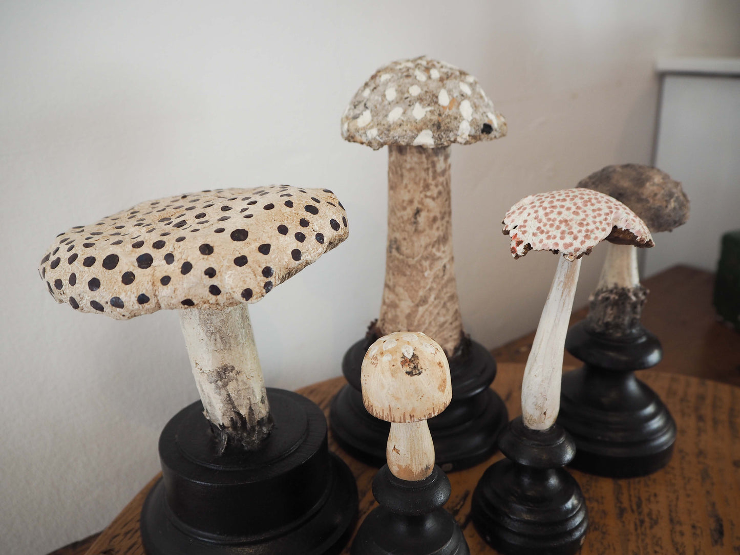 Antique Apothecary Mushroom Fungus Hand-Painted Specimens on Stands