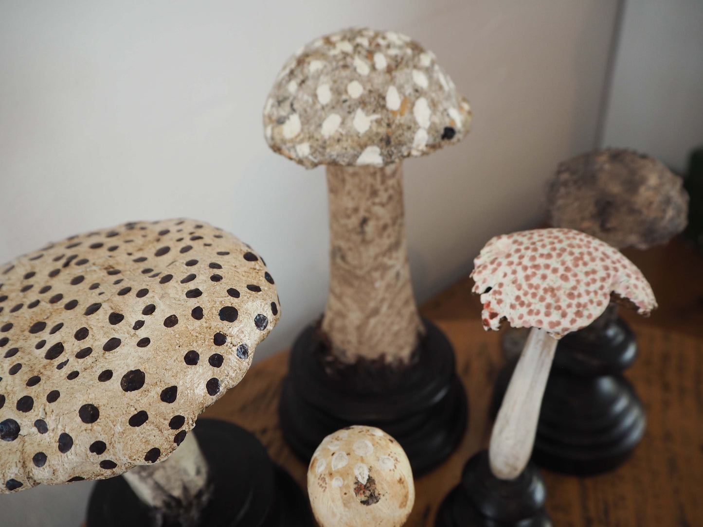 Antique Apothecary Mushroom Fungus Hand-Painted Specimens on Stands
