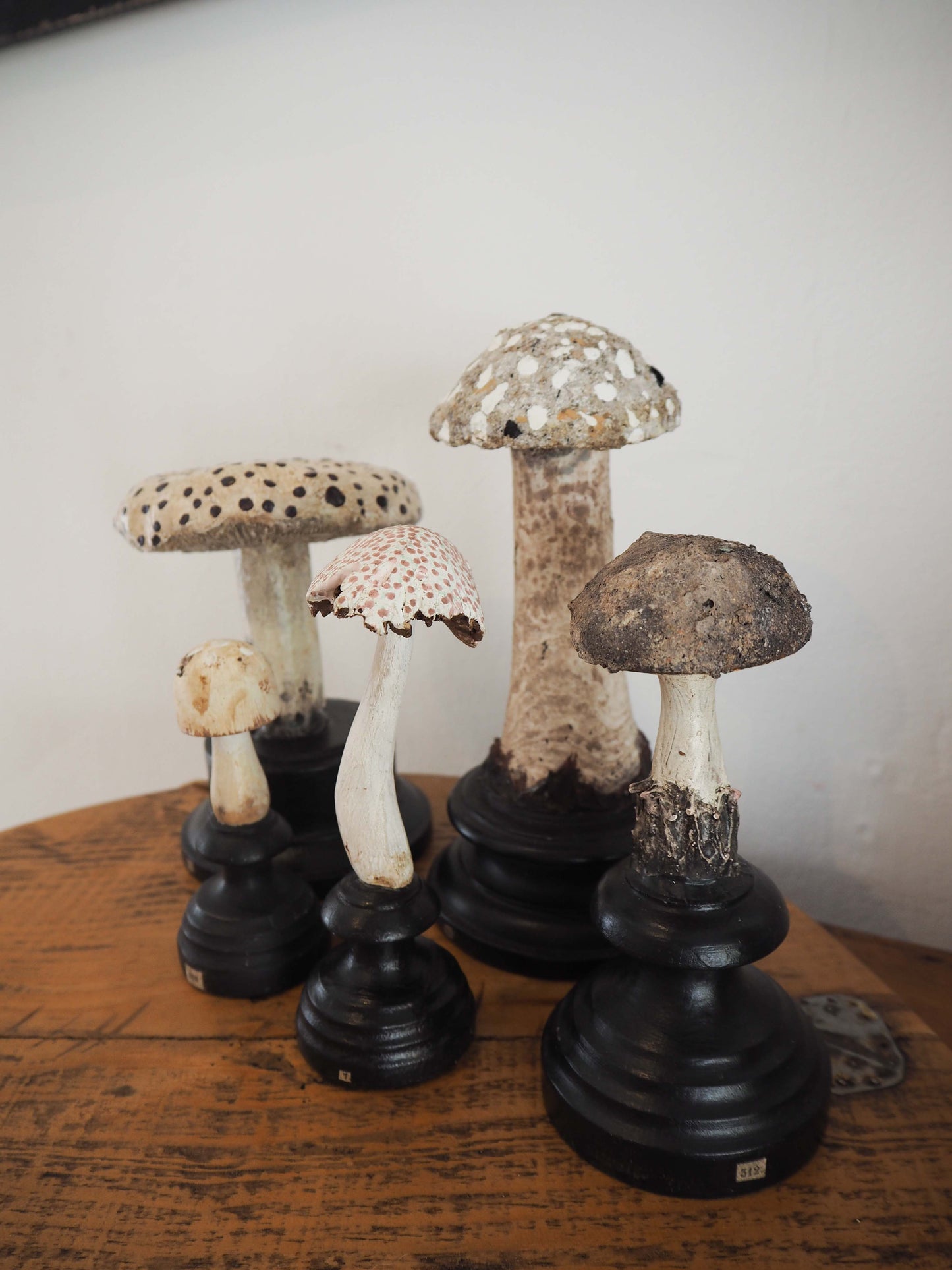 Antique Apothecary Mushroom Fungus Hand-Painted Specimens on Stands