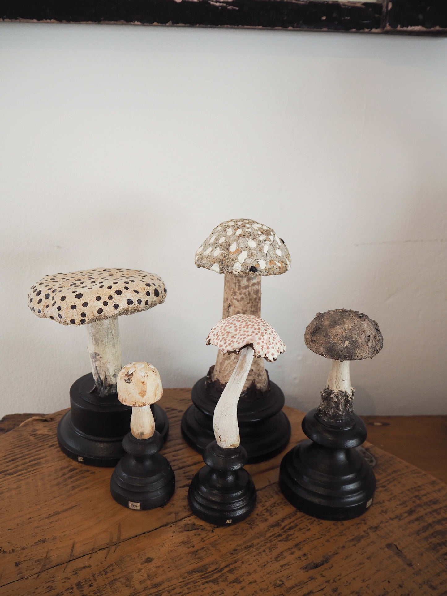 Antique Apothecary Mushroom Fungus Hand-Painted Specimens on Stands