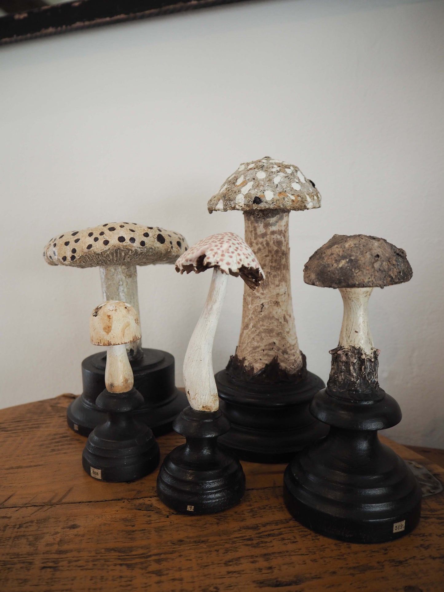 Antique Apothecary Mushroom Fungus Hand-Painted Specimens on Stands