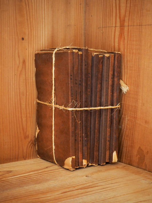 Collection of Vintage French Paperback Books / Decorative Book