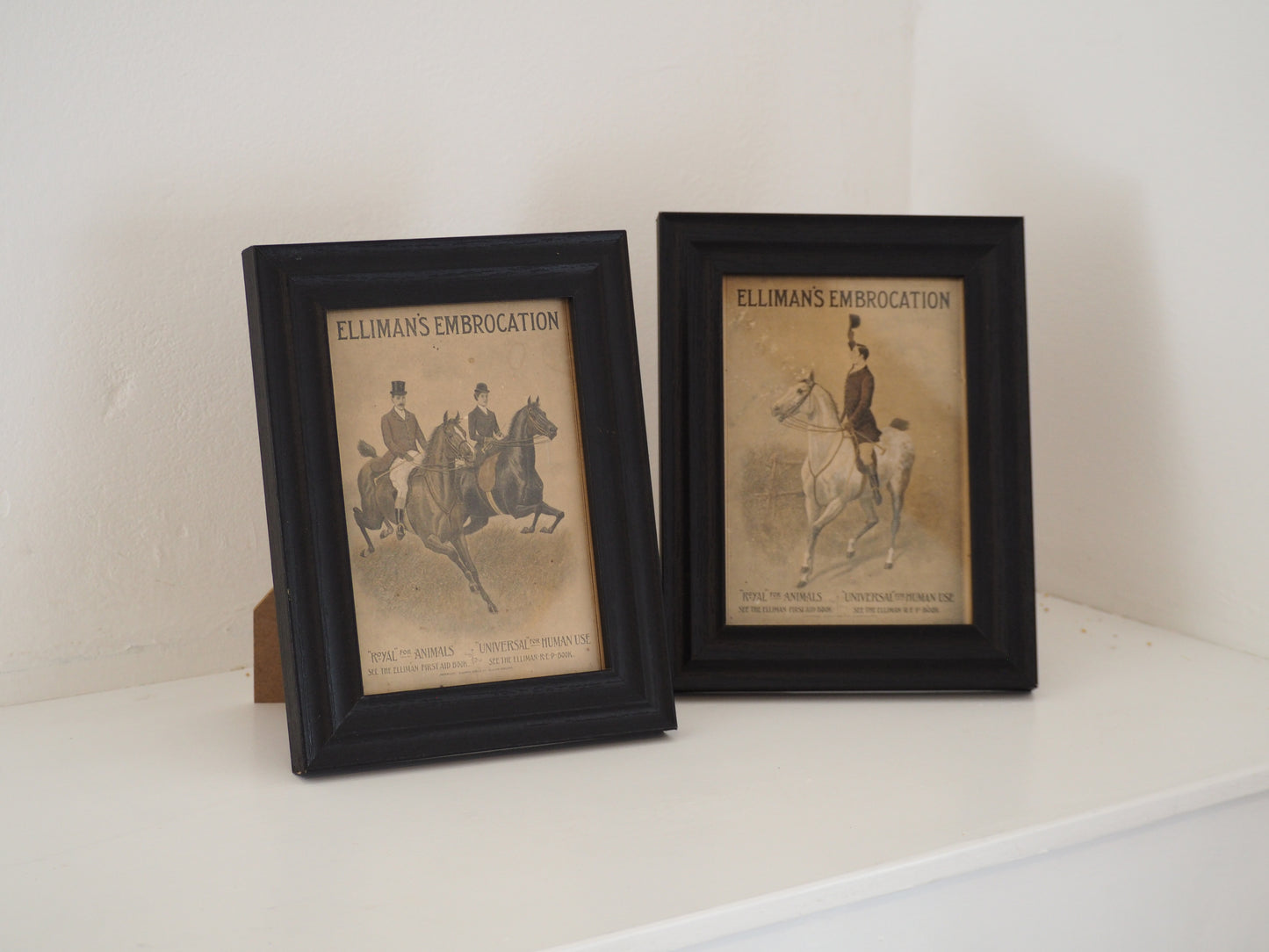 Pair of Vintage Elliman's Embrocation Advertising Prints in Black Frame