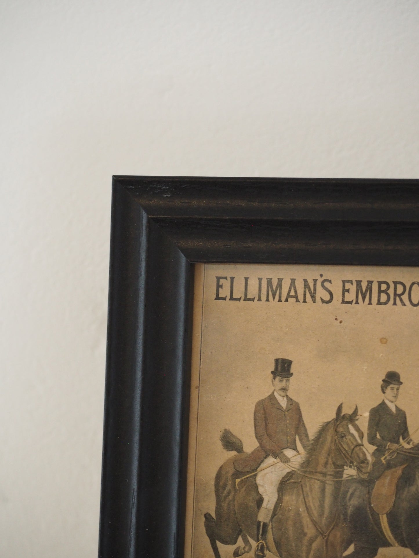 Pair of Vintage Elliman's Embrocation Advertising Prints in Black Frame
