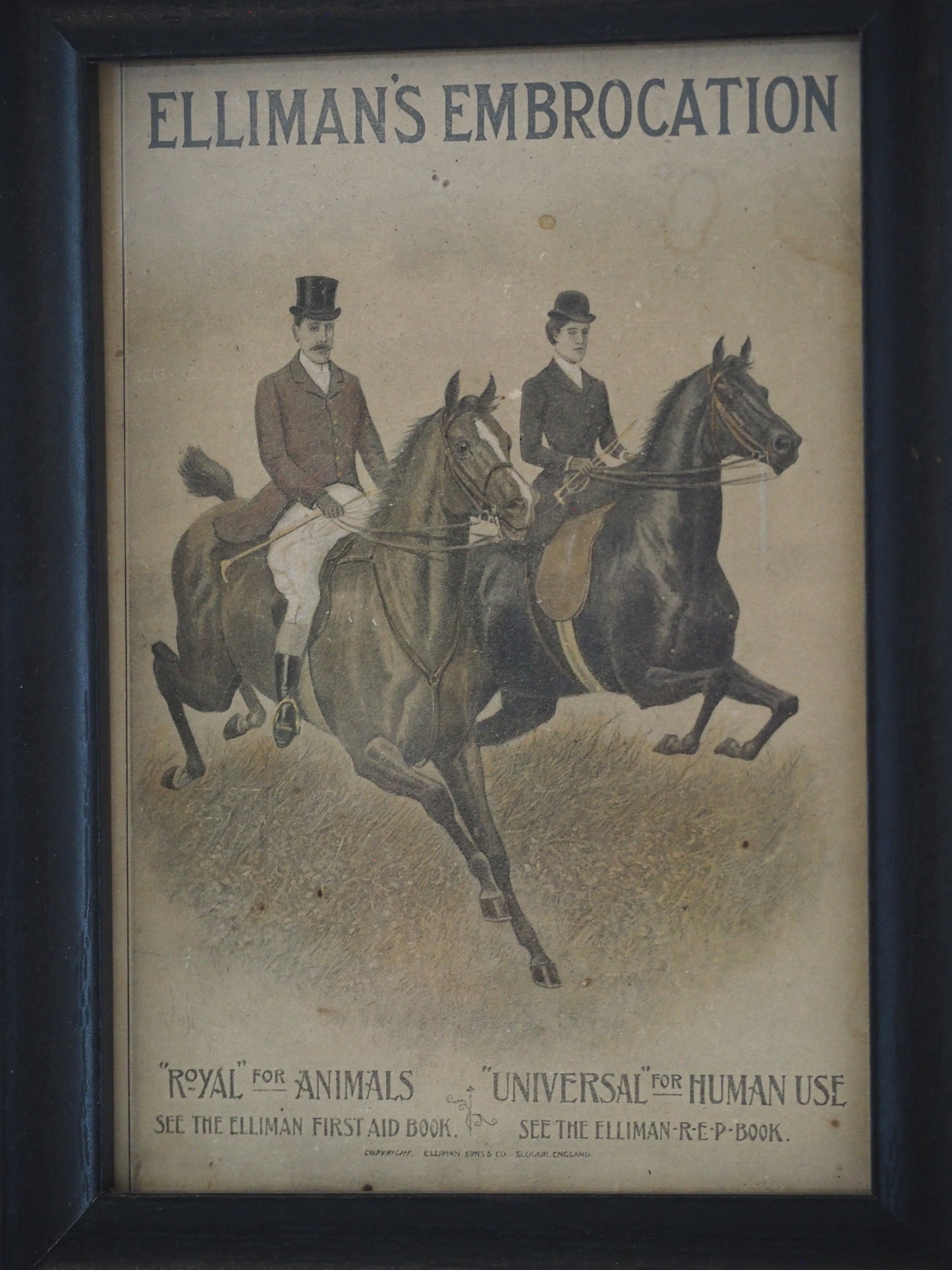 Pair of Vintage Elliman's Embrocation Advertising Prints in Black Frame
