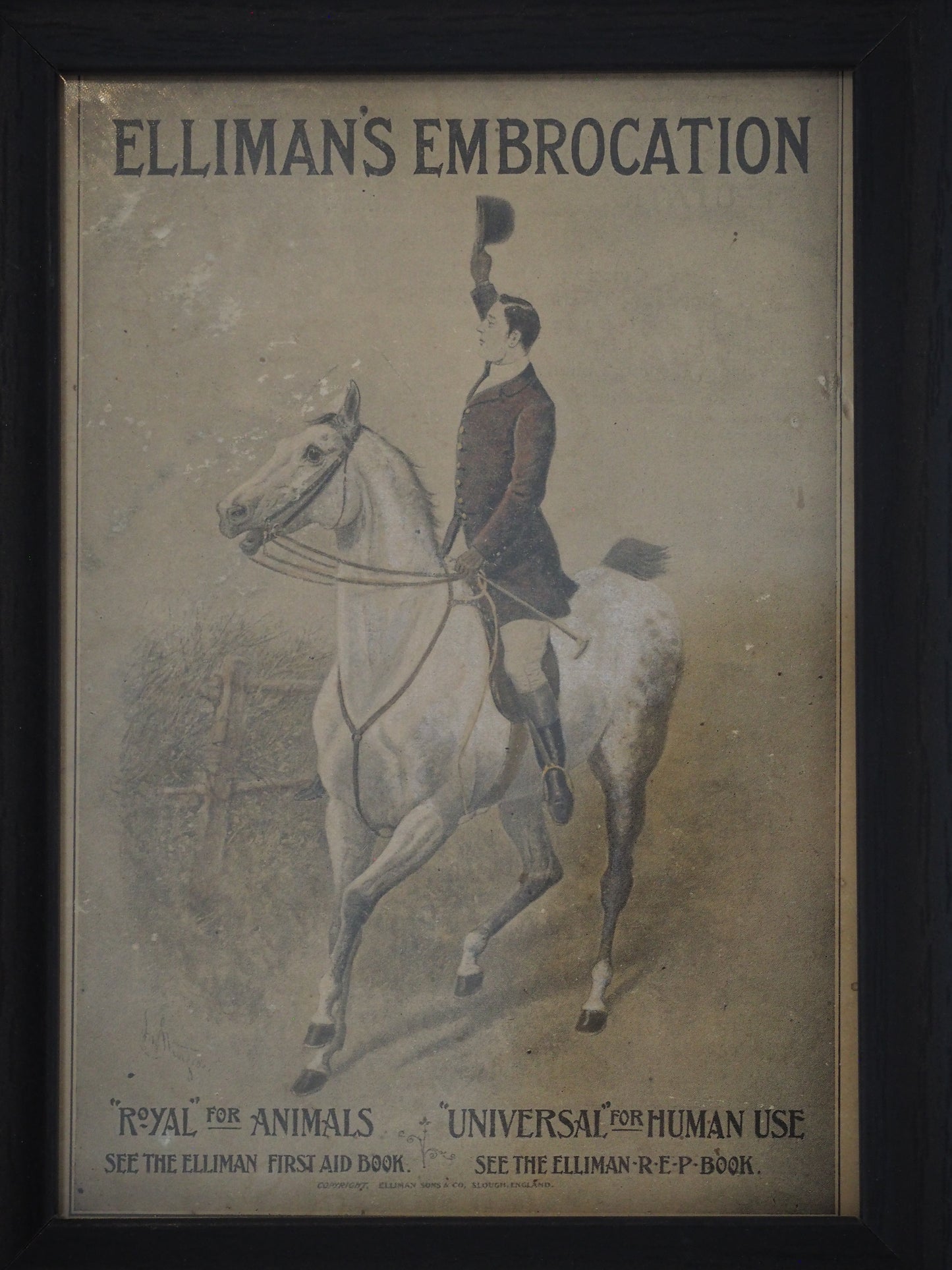 Pair of Vintage Elliman's Embrocation Advertising Prints in Black Frame