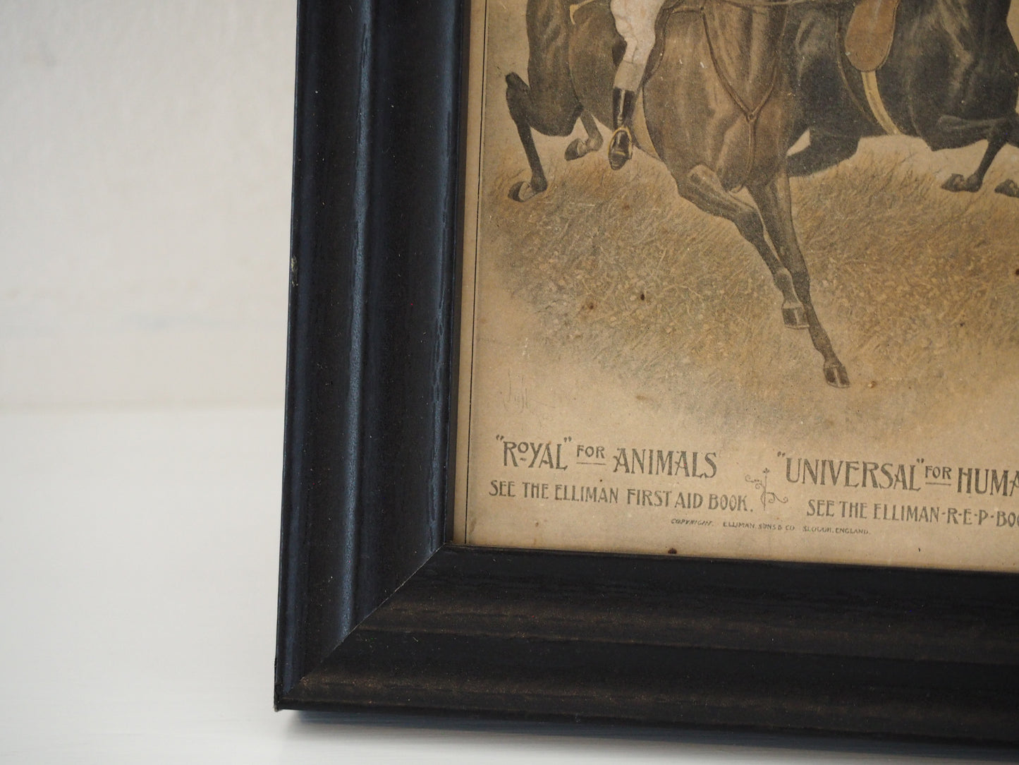 Pair of Vintage Elliman's Embrocation Advertising Prints in Black Frame