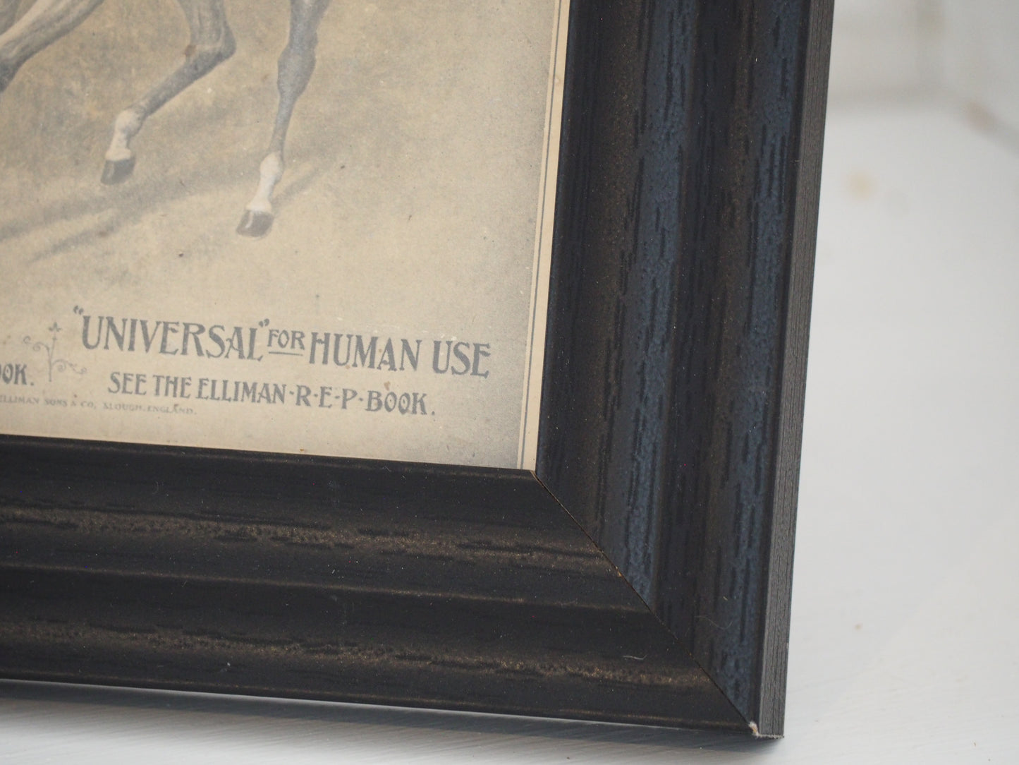 Pair of Vintage Elliman's Embrocation Advertising Prints in Black Frame