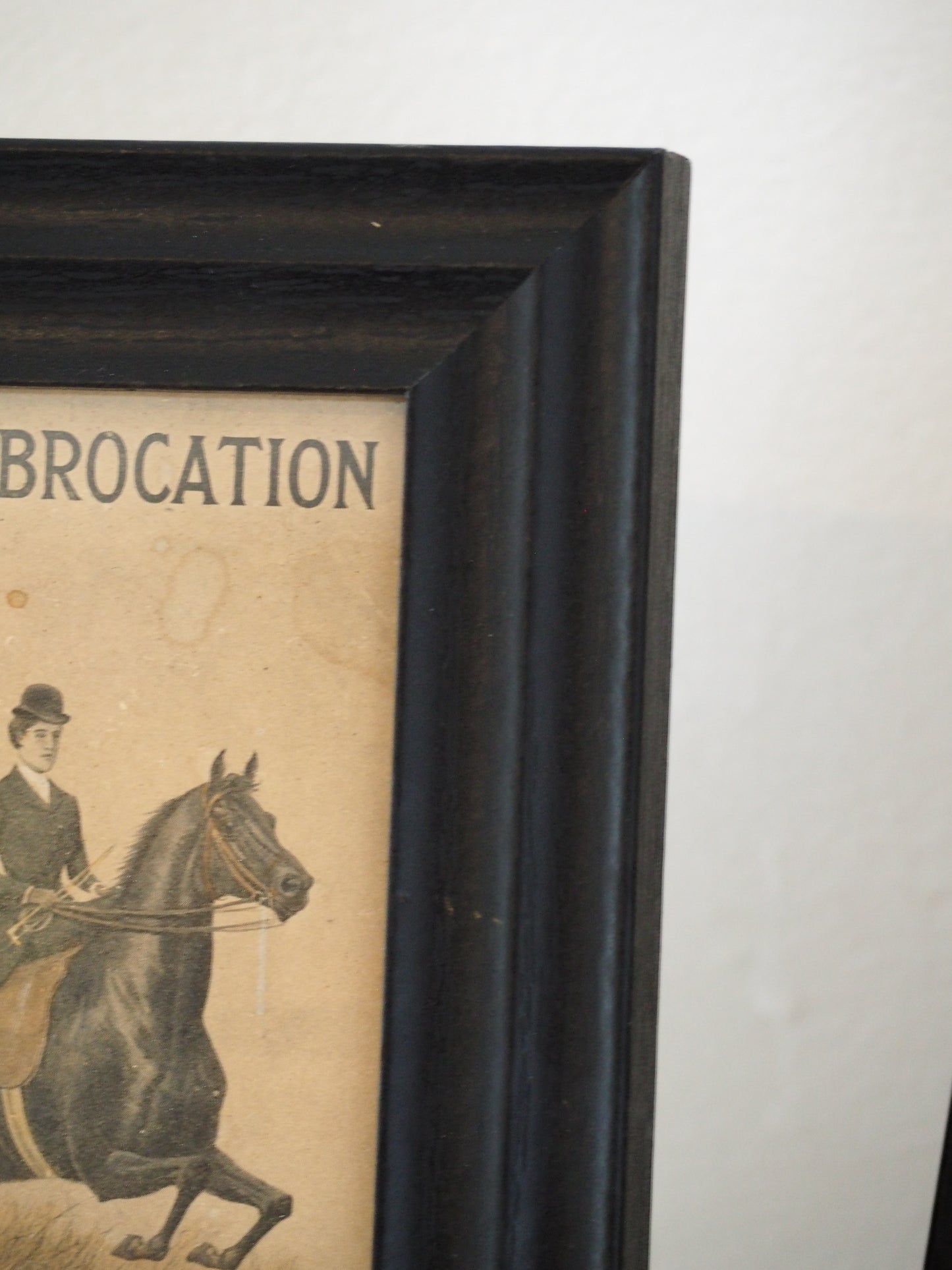 Pair of Vintage Elliman's Embrocation Advertising Prints in Black Frame