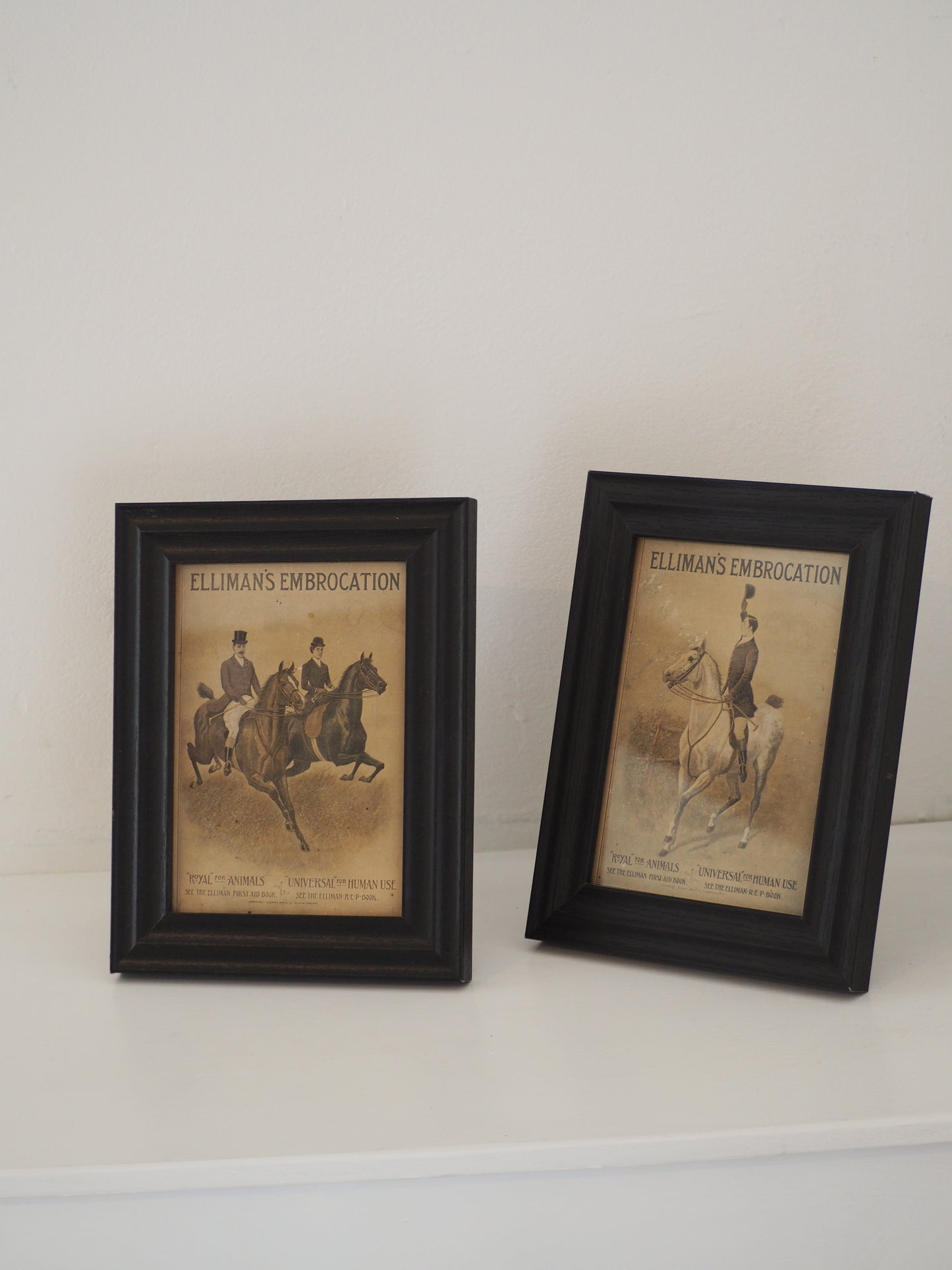 Pair of Vintage Elliman's Embrocation Advertising Prints in Black Frame