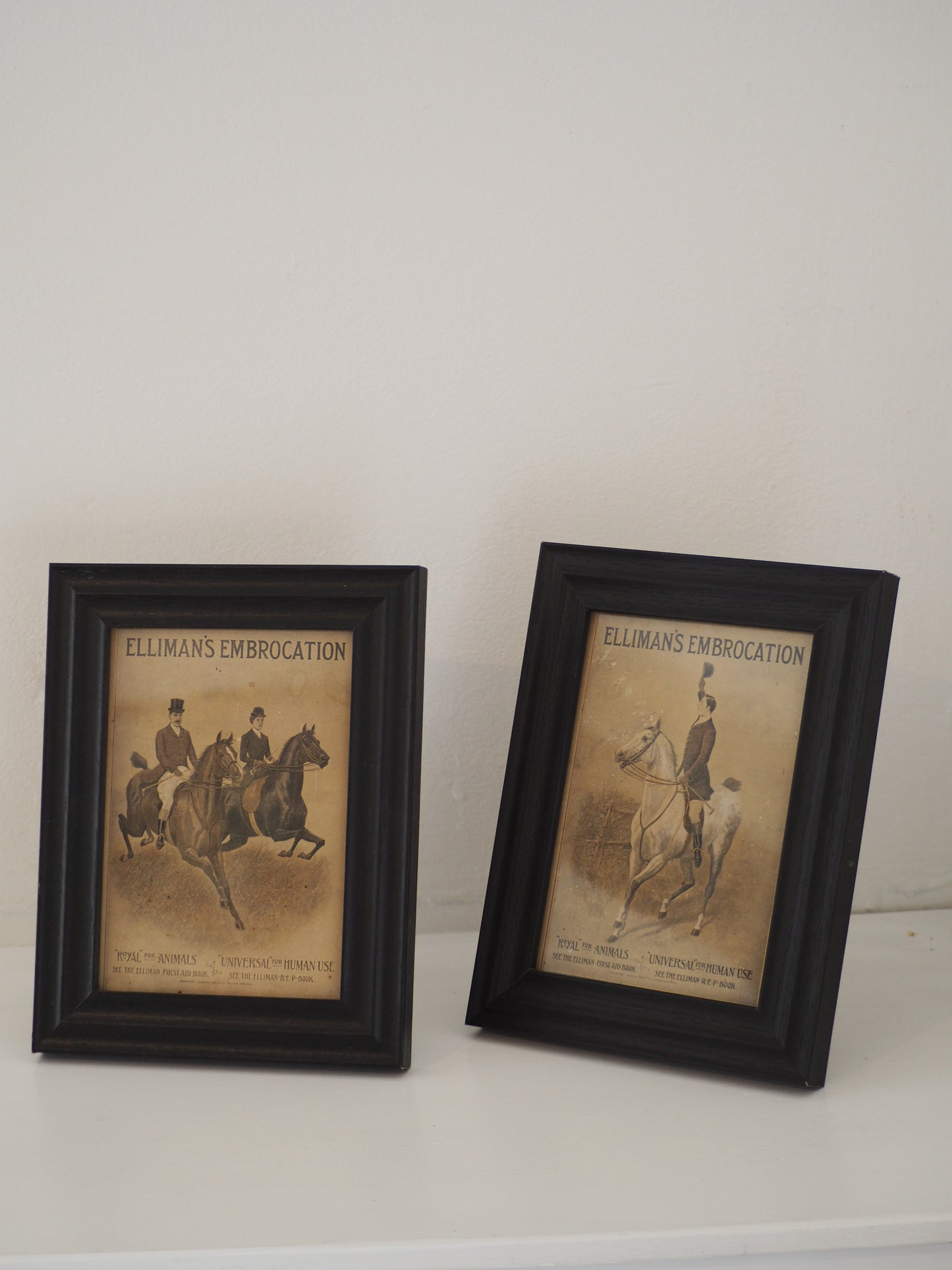 Pair of Vintage Elliman's Embrocation Advertising Prints in Black Frame