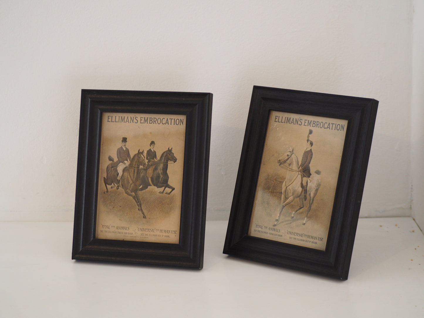 Pair of Vintage Elliman's Embrocation Advertising Prints in Black Frame
