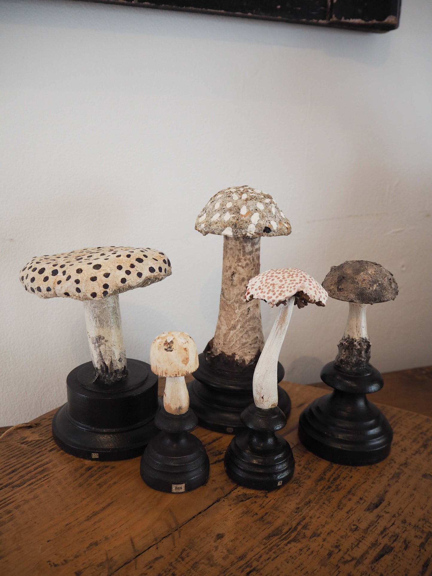 Antique Apothecary Mushroom Fungus Hand-Painted Specimens on Stands