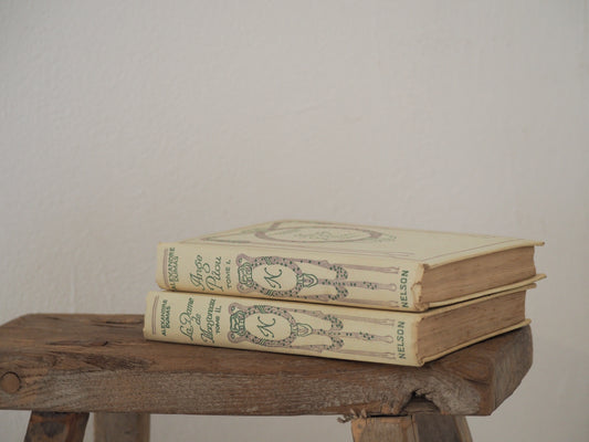 Pair of Old Vintage French Hard Back Books / Rustic Decorative Book (Sold Individually)