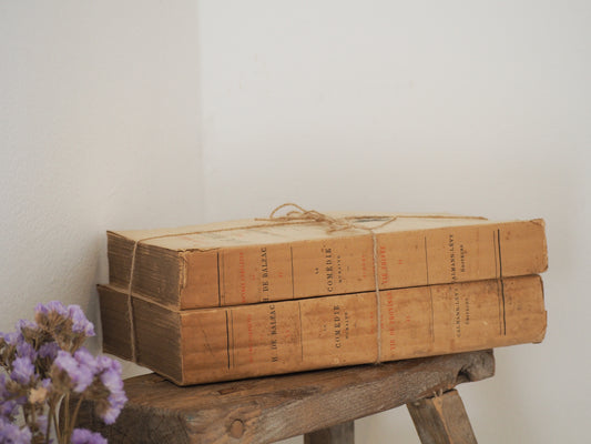 Bundle of Old Vintage French Paper Back Books / Rustic Decorative Book