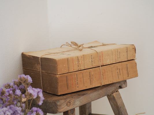 Bundle of Old Vintage French Paper Back Books / Rustic Decorative Book