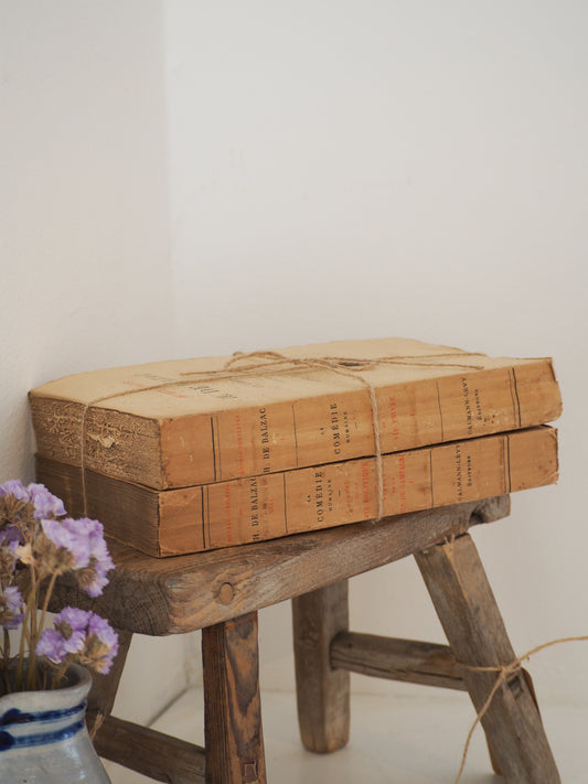 Bundle of Old Vintage French Paper Back Books / Rustic Decorative Book