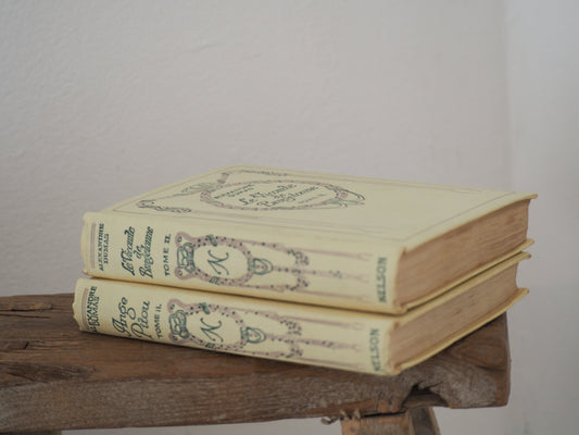 Pair of Old Vintage French Hard Back Books / Rustic Decorative Book (Sold Individually)