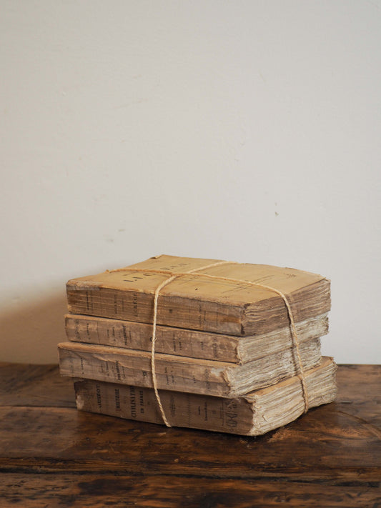 Bundle of Old Vintage French Paper Back Books / Decorative Book